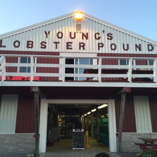 Young's Lobster Pound