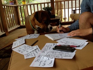 Roo oversees the writing process