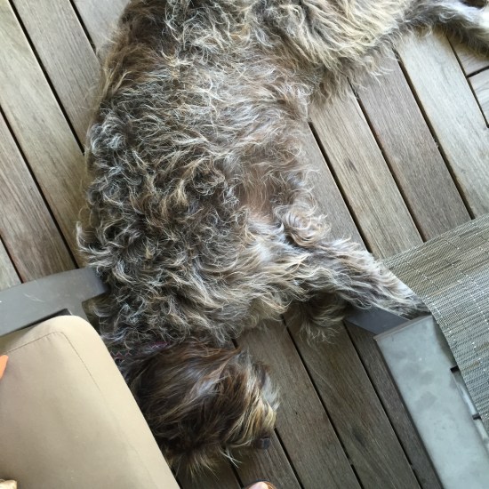 Abbie at Frog's Leap