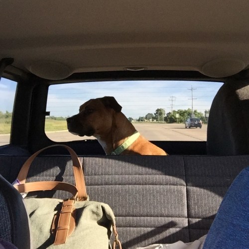 Roo and Trevor picked me and to take me back to Camp Crystal Lake