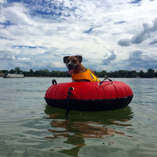 Roo on a Tube