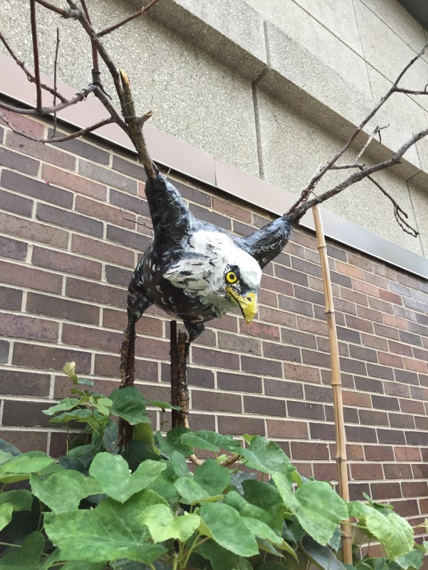 Hey, tree eagle. Treagle. 